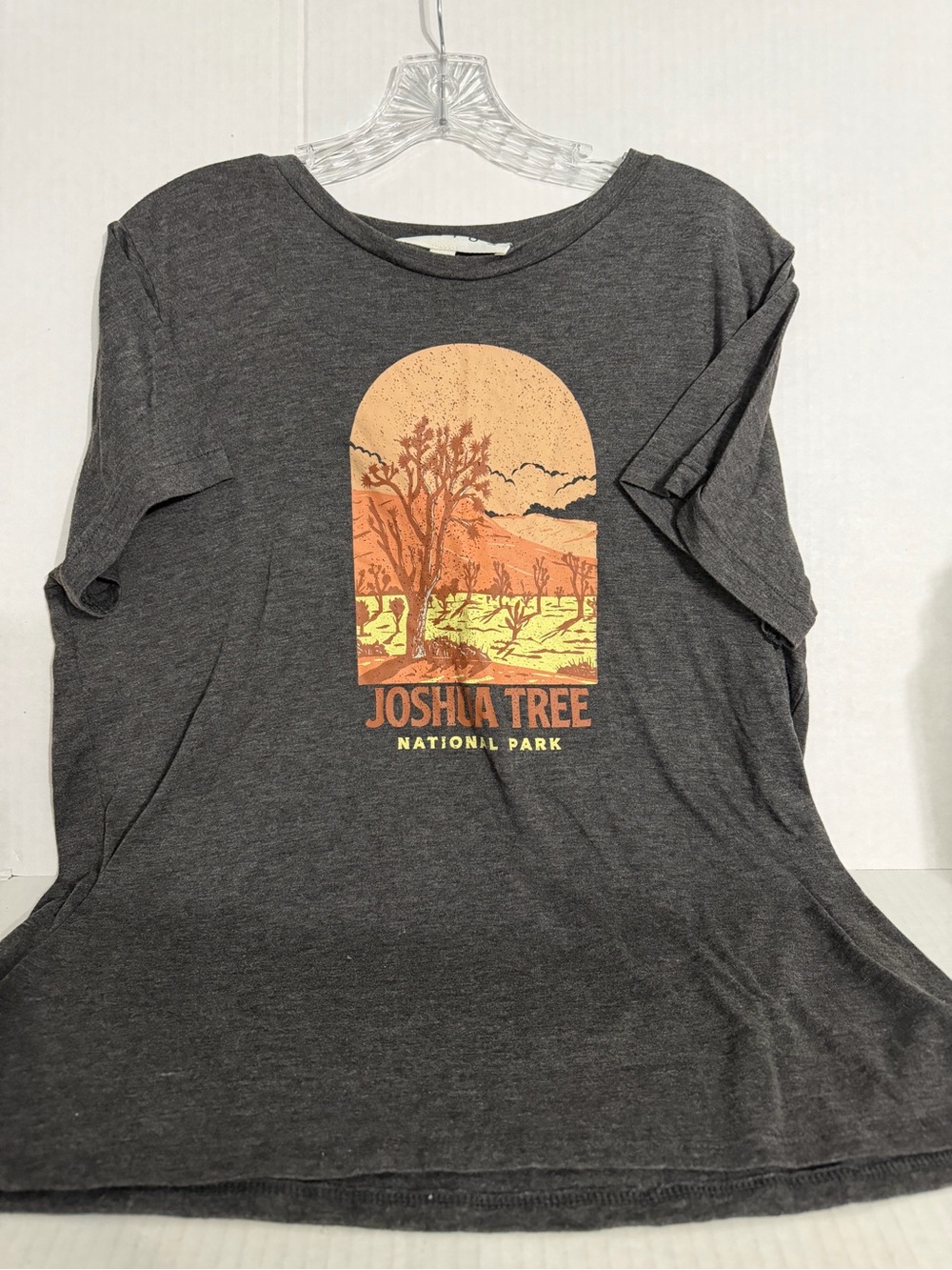 Hiatus Joshua Tree Graphic Short Sleeve Tee - Black